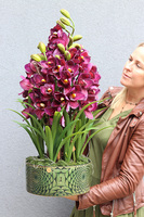 Kalite, nowoczesny sztuczny storczyk, wym.75cm