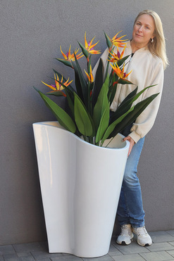 OD RĘKI Strelicja Crayola, egzotyczna kompozycja w donicy fiberglass,wys.154cm