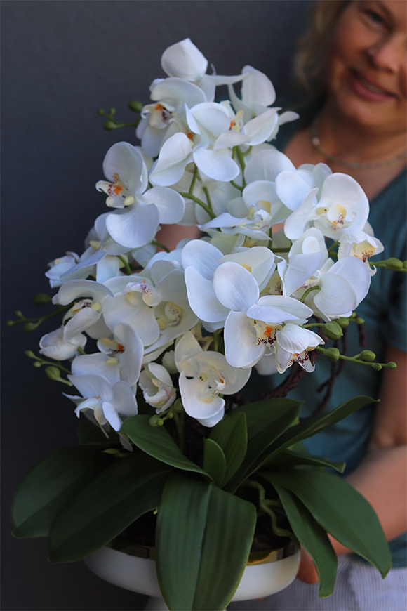 Dortmund, elegancki storczyk w pucharze glamour