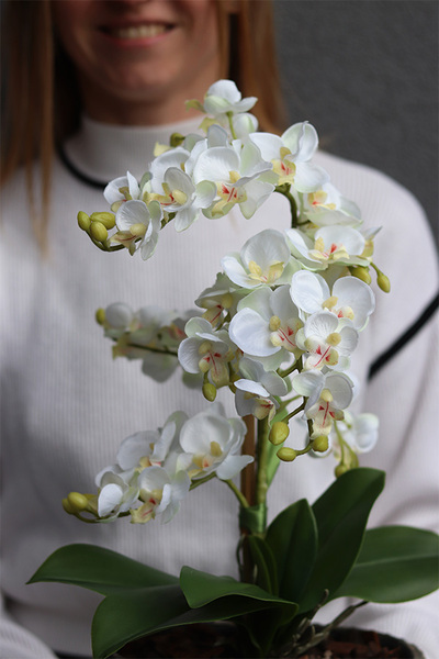 Tyrenta, sztuczny storczyk w ozdobnej donicy