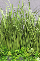 Balconera Agneso 2, ekskluzywna kompozycja z trawami w donicy, wys.70cm