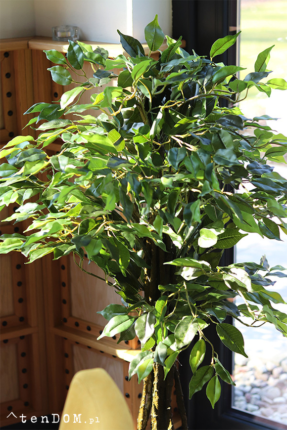 Fikus Benjamin E, sztuczna roślina w doniczce