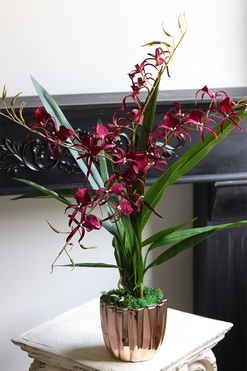 Cherry Thailand, różowy storczyk glamour, wys.69cm