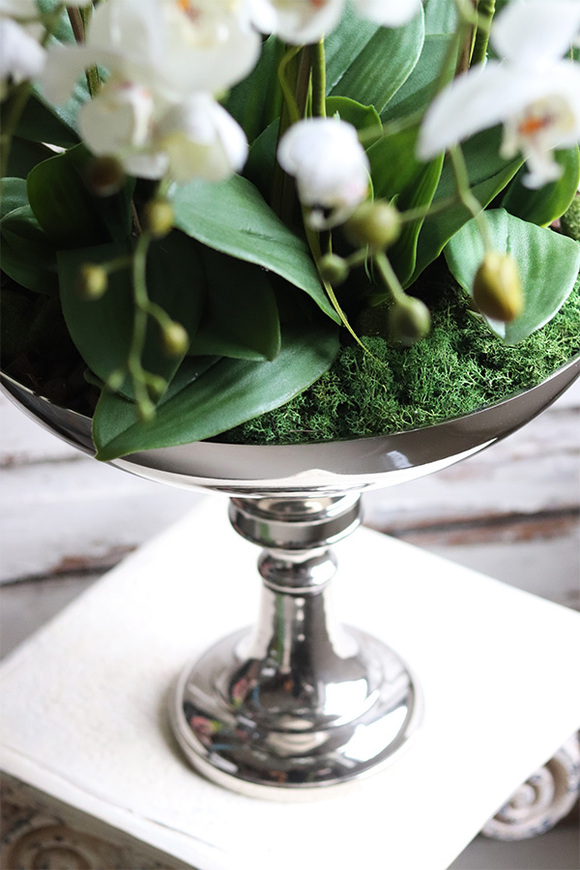 elegancki storczyk w pucharze, Silverito, wys.86cm