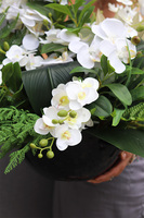 White Orchidera Classica, kompozycja nagrobna w misie