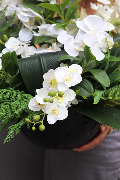 White Orchidera Classica, kompozycja nagrobna w misie