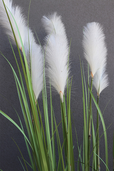 Delanti 2, wysoka kompozycja ze sztucznej trawy, wys.213cm