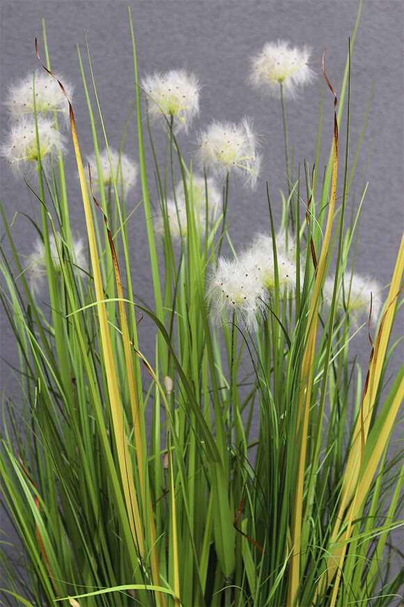Dandelion Light 3, trawa w podświetlanej donicy z dmuchawcami