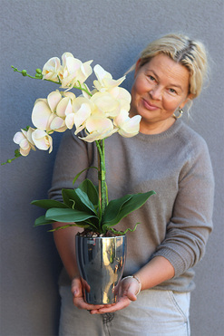 Fellice Tredde, gumowy storczyk w lustrzanej donicy, wys.62cm 