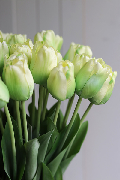 Azurri Tulips, bukiet kwiatów w wazonie