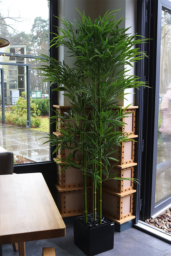 Bambus Fiberglass, sztuczna roślina w czarnej donicy