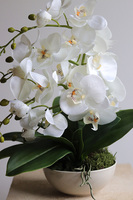 Daria, sztuczny storczyk w białej misie