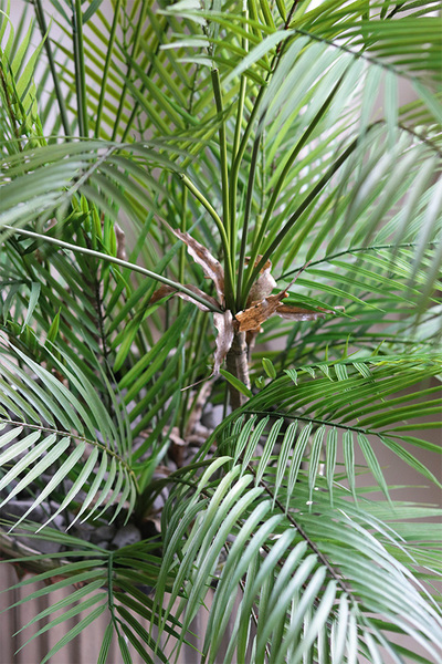 Haiti Silverro, sztuczna palma w srebrnej donicy