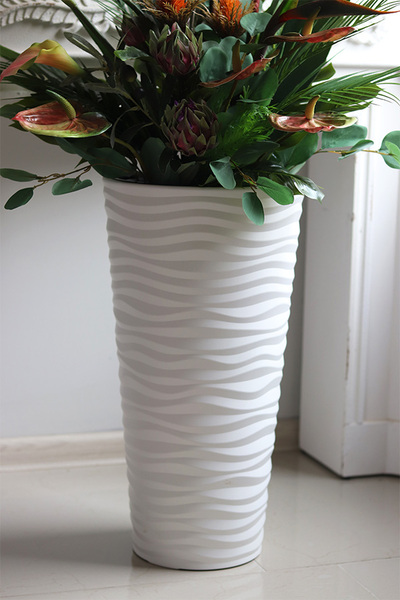 Bahama Gizelle, strelicja w wysokiej donicy