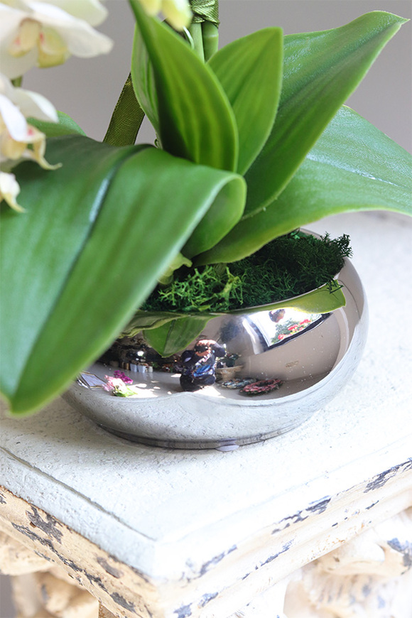 Mini Piano 2, sztuczny storczyk w lustrzanej donicy