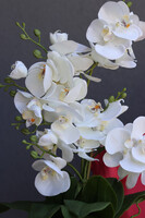 Nera Simple, sztuczny storczyk w ozdobnej donicy