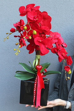 OD RĘKI Red Lips, czerwony storczyk na walentynki, wys.64cm 