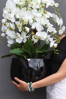 Fiberglass Grande Baloo Black, sztuczny storczyk w białej donicy