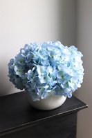Błękit, kompozycja kwiatowa z niebieskich hortensji