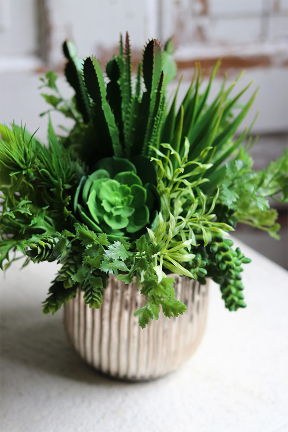 Medula, kompozycja z sukulentów w złotej doniczce