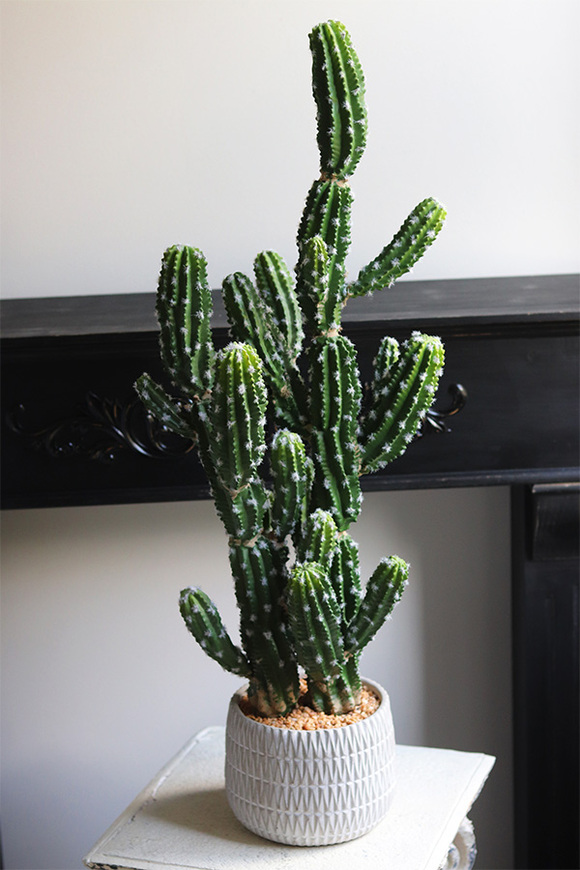 Kaktus Mexico New, sztuczna roślina