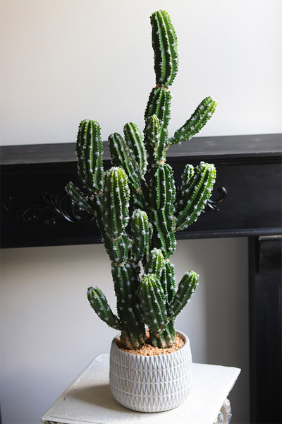 Kaktus Mexico New, sztuczna roślina