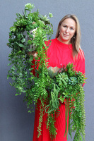 Laos Greeno 2, bogata kompozycja Sukulenty w lustrzanej donicy