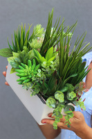 Bianco Chianti, kompozycja z sukulentami w donicy glamour