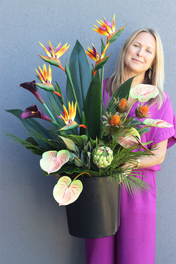 Anturium & Strelicja Saute, egzotyczna kompozycja do donicy klienta, wys.94cm