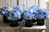Niebieska Hortensja 2, flowerbox z kwiatami
