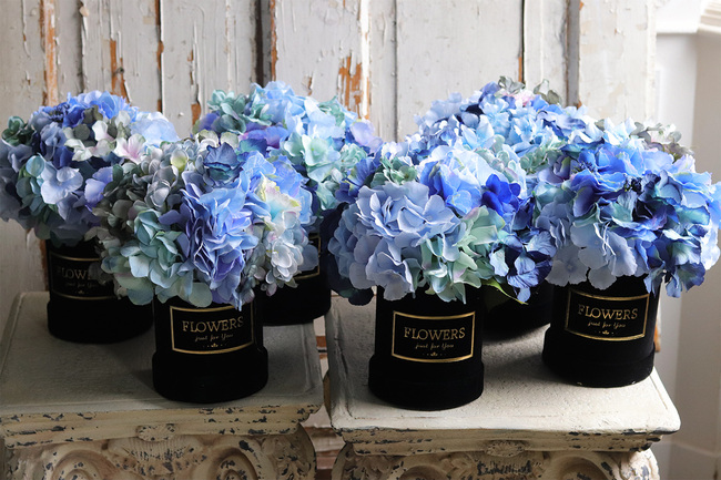 Niebieska Hortensja 2, flowerbox z kwiatami