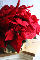 Gwiazda Betlejemska Goldieta, wysokiej jakości sztuczna roślina