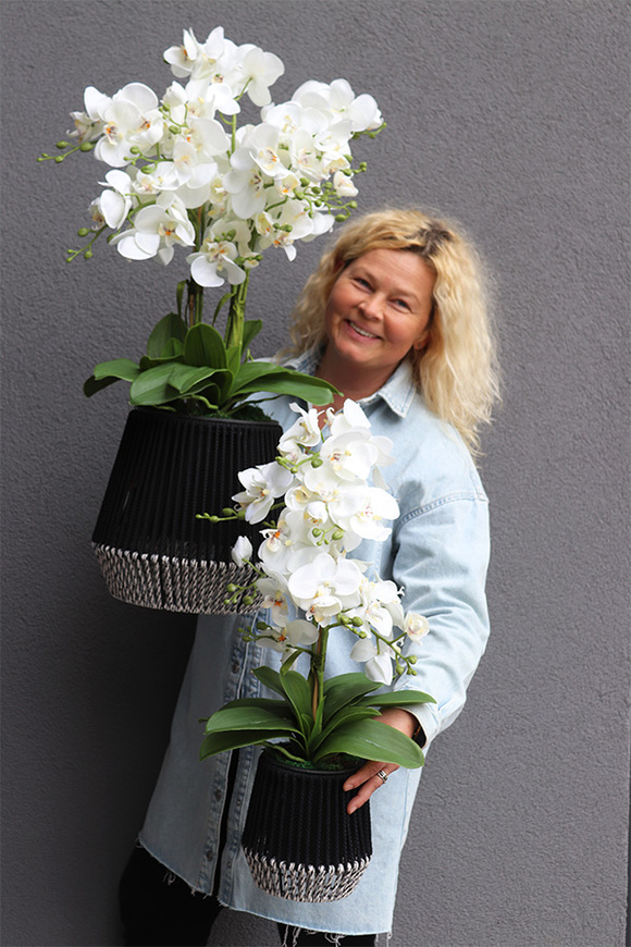 Bond, storczyk w sznurkowej doniczce