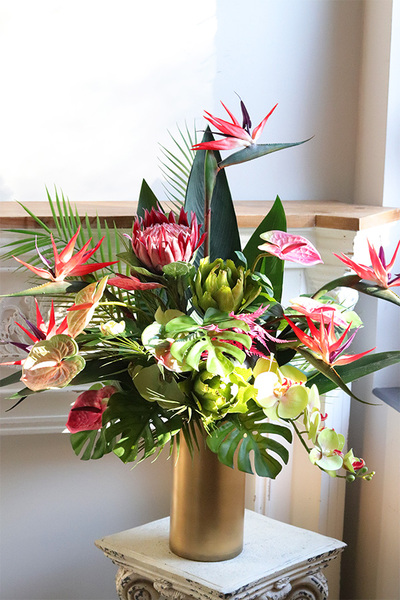 Schiele Premium Red, strelicja kompozycja w złotej donicy	