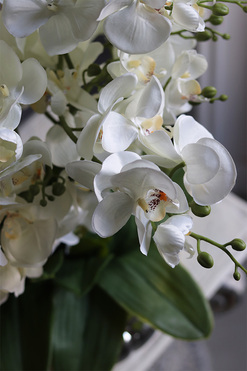 Carrington Silver, elegancki sztuczny storczyk,wys.52cm  