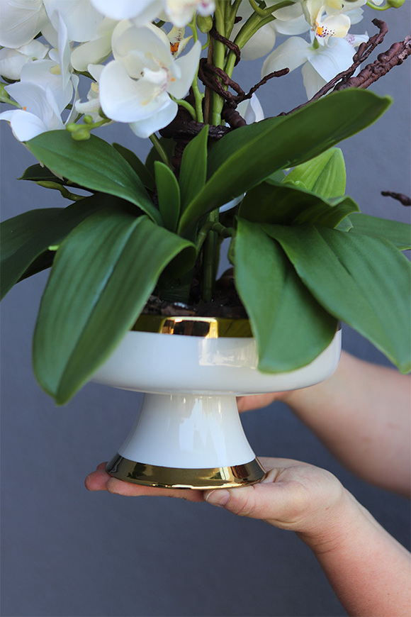 Dortmund, elegancki storczyk w pucharze glamour