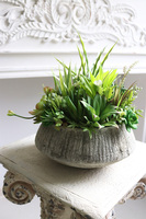 Sukulenty Hefuba, kompozycja w okrągłej donicy