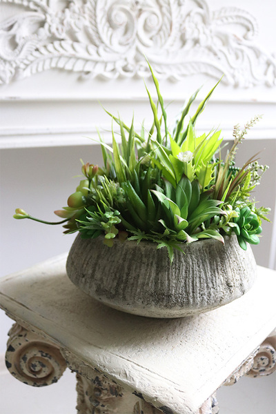 Sukulenty Hefuba, kompozycja w okrągłej donicy