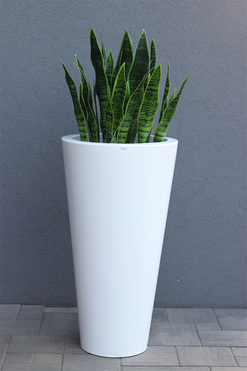 Sansewieria Della 3, roślina sztuczna w donicy, wys.110cm 