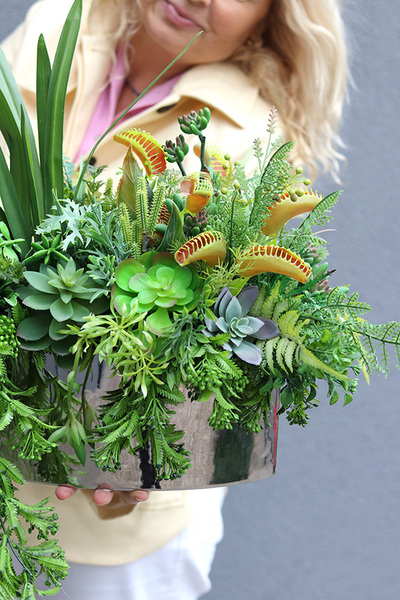 Greenede, kompozycja sukulenty w czarnej donicy, wys.40cm