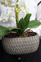 Tyrenta, sztuczny storczyk w ozdobnej donicy