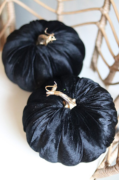 Dynia Velurre, jesienna dekoracja, kolor czarny, śr.19cm