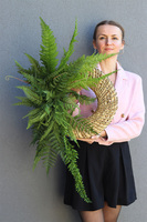 Paprocie, asymetryczny zielony wianek