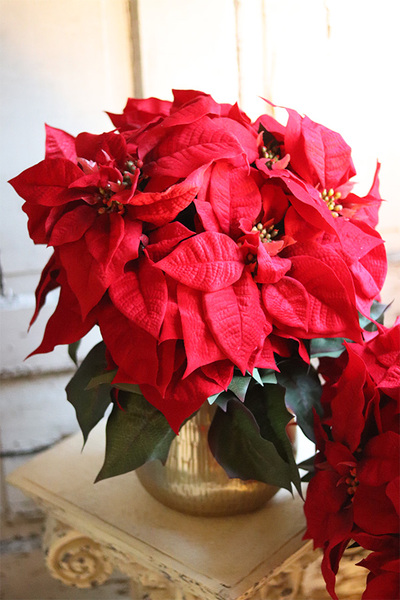 Gwiazda Betlejemska Goldena, wysokiej jakości sztuczna roślina, wym.45x40cm, dostępna jedna sztuka