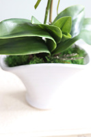 Polly Fuksja, sztuczny storczyk w białej donicy, wys.49cm