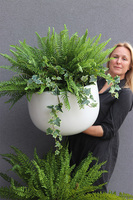 Zielony Dom Walter, paproć w donicy fiberglass