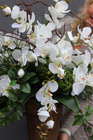 Lilly Goldasta, kompozycja ze storczykiem w złotym pucharze, wys.95cm