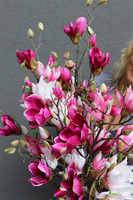bukiet różowych kwiatów, Magnolie Moko M, dł.83cm 