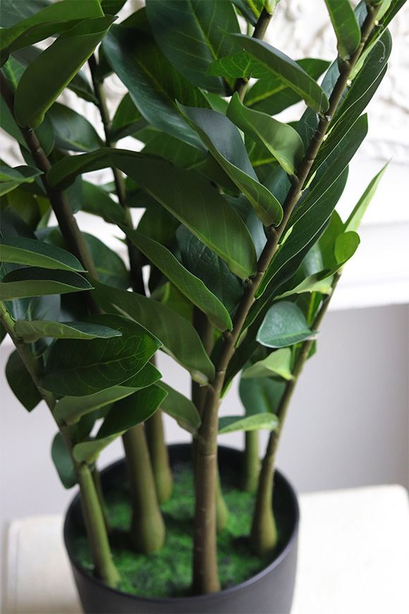 Zamiokulkas, wysokiej jakości sztuczna roślina