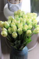 Azurri Tulips, bukiet kwiatów w wazonie